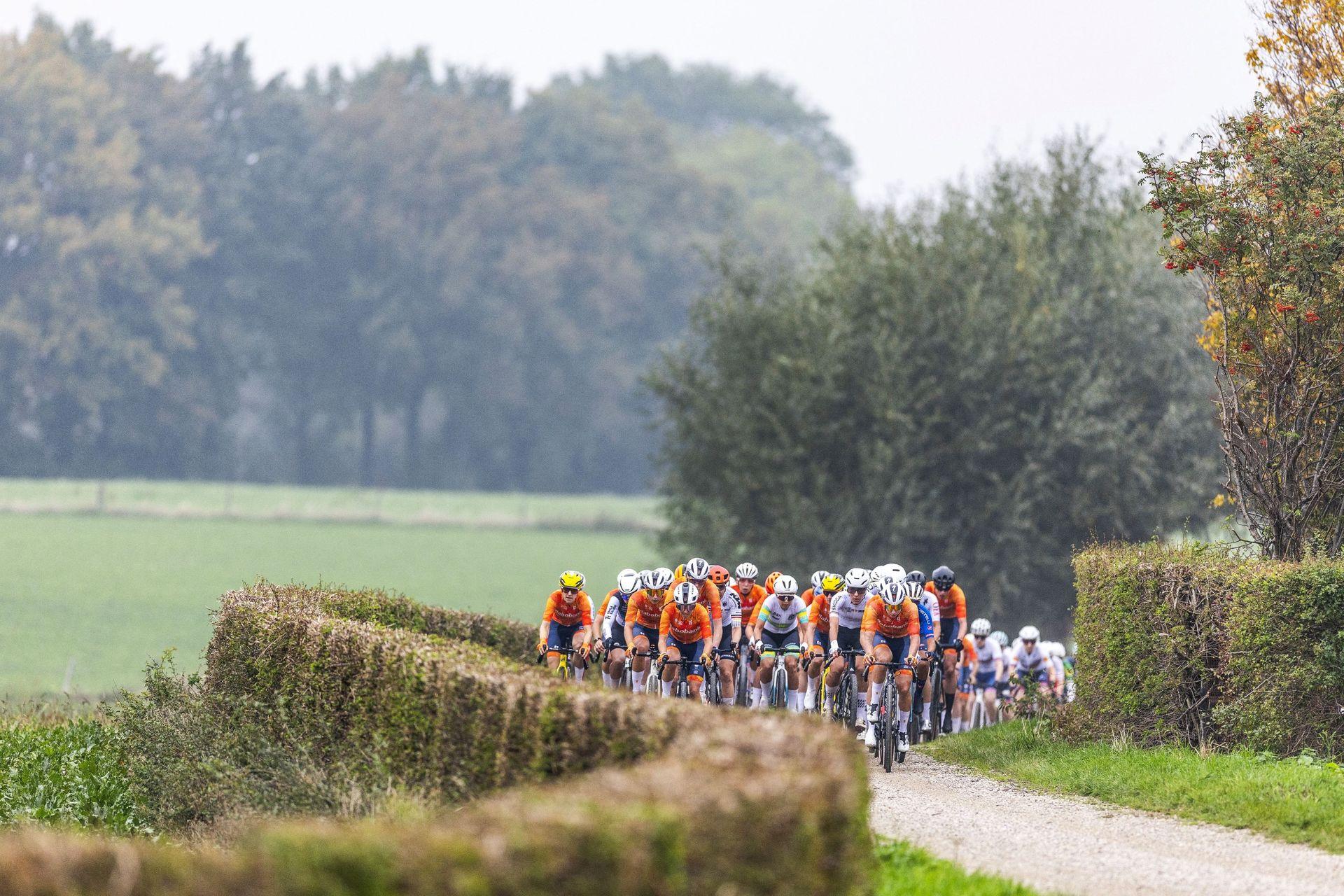 Campeonato Mundial de Gravel UCI 2026 en categoría élite femenina EN DIRECTO - Estrellas compiten en Nannup, Australia, por las medallas